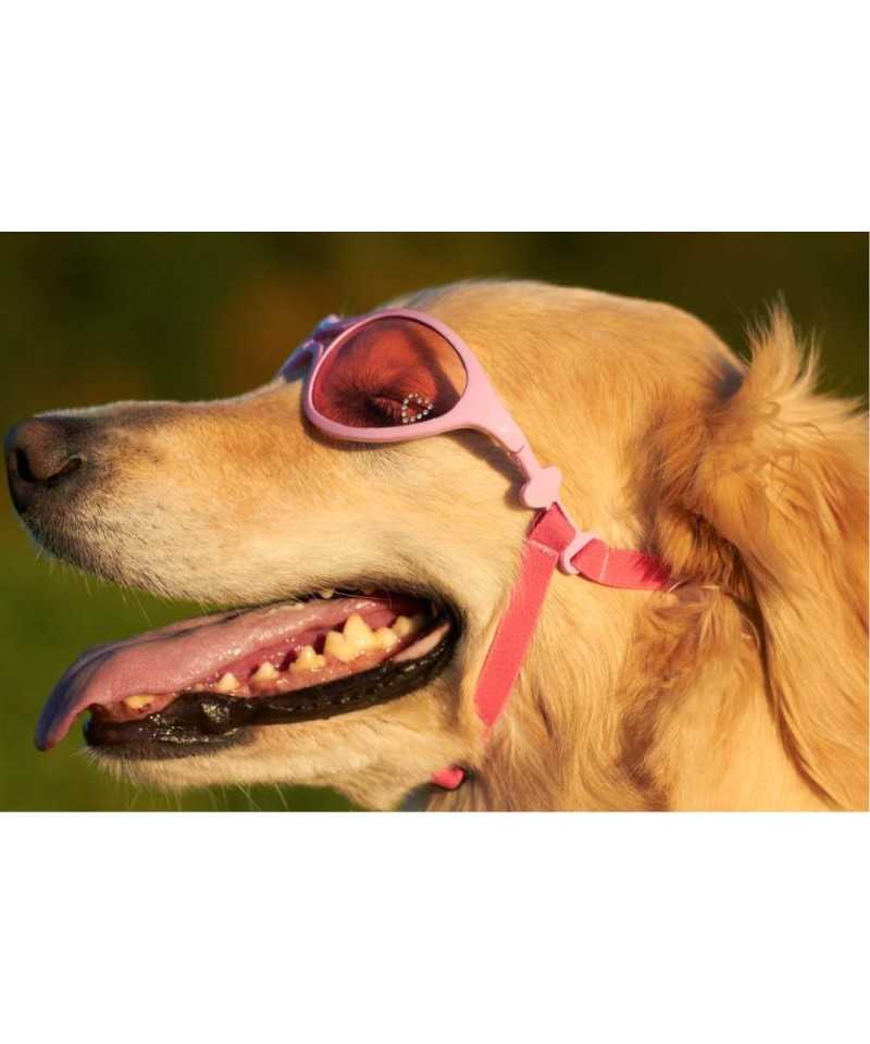 Doggles k9 clearance optix