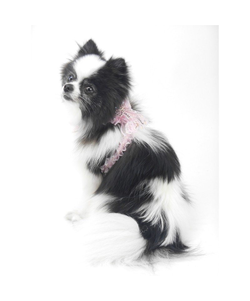 PRECIOUS BOW HARNESS BABY PINK ECOPATENT/GOLD Piccoli Pets